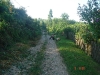 dsc01831